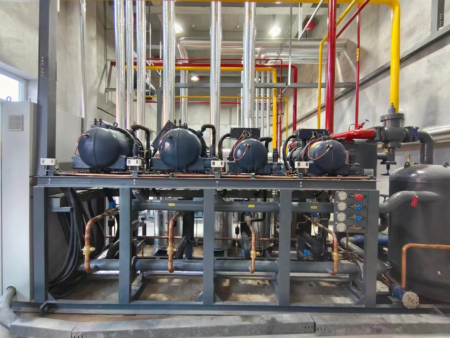 吉林通化禾韻藍莓生産基地(dì)