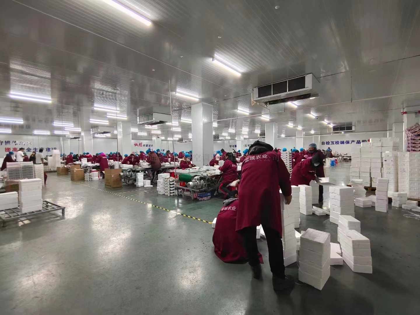 吉林藍域農(nóng)業(yè)發展有(yǒu)限公司制(zhì)冷(lěng)項目