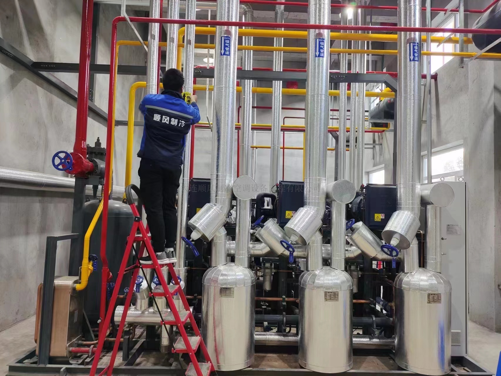 吉林通化禾韻藍莓生産基地(dì)