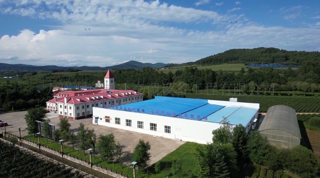 吉林通化禾韻藍莓生産基地(dì)