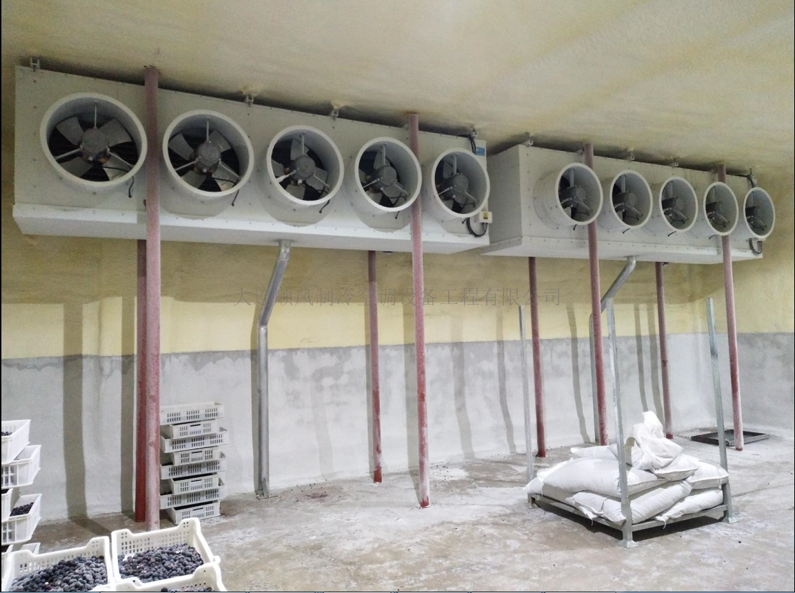 吉林通化禾韻藍莓生産基地(dì)