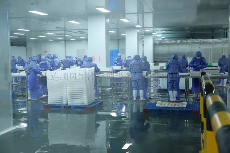 綏芬河國際首站進口冷(lěng)鏈物(wù)流集散港制(zhì)冷(lěng)工(gōng)程