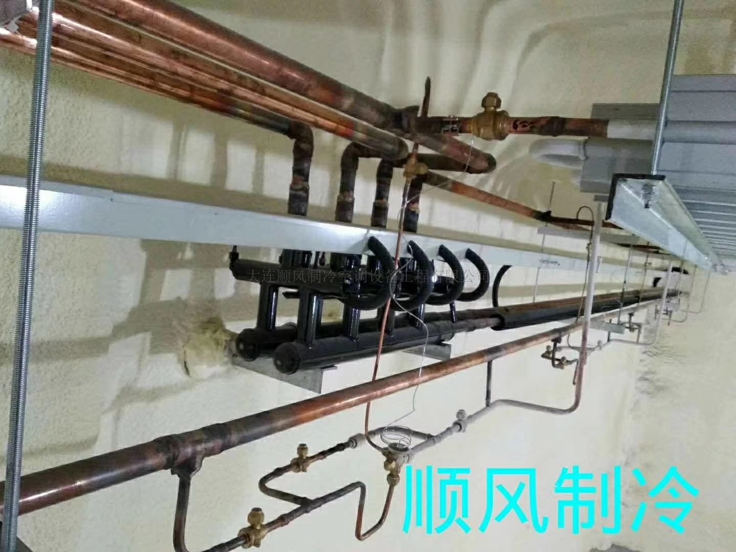 大(dà)連财神島集團制(zhì)冷(lěng)工(gōng)程