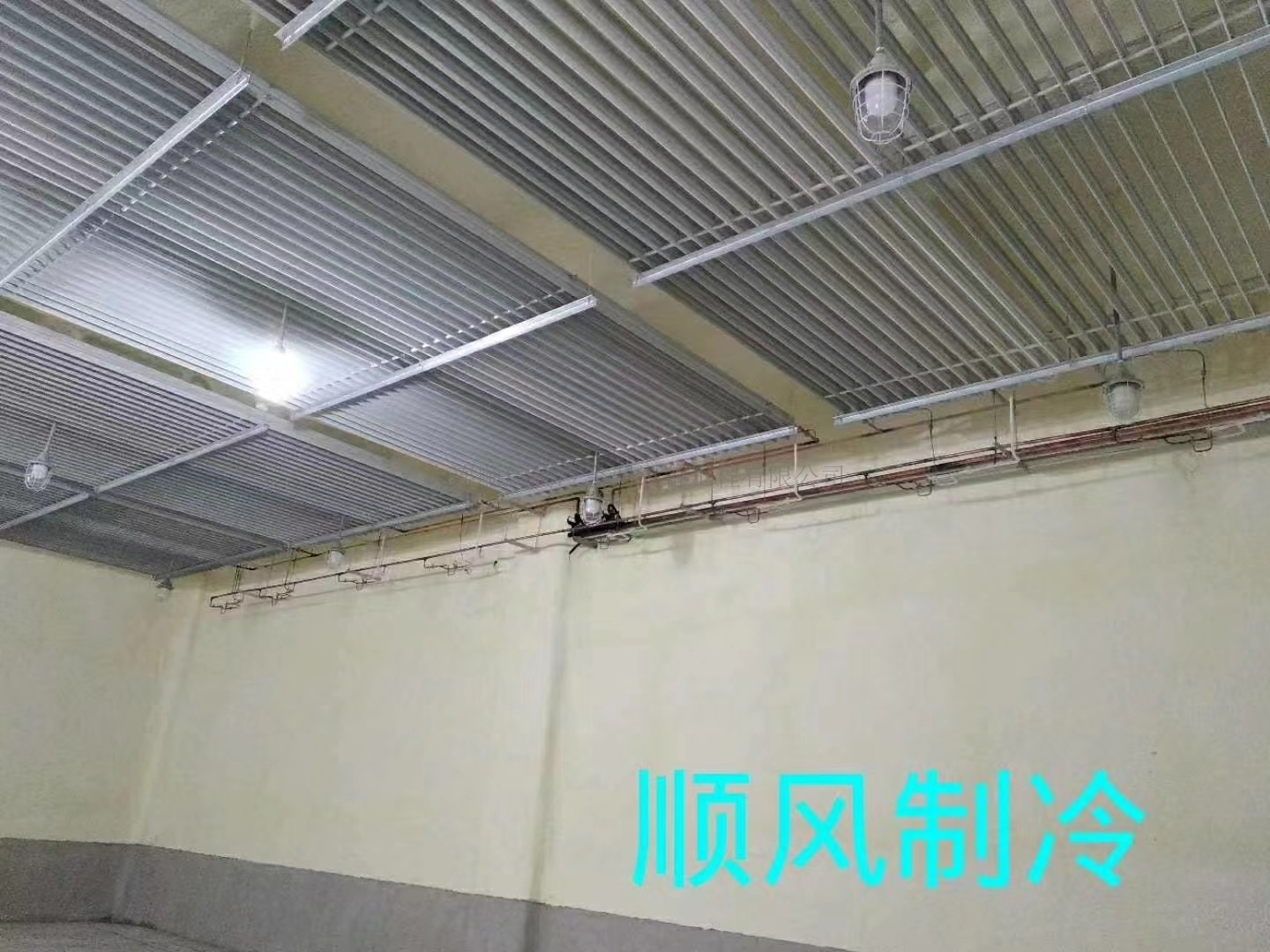 大(dà)連财神島集團制(zhì)冷(lěng)工(gōng)程