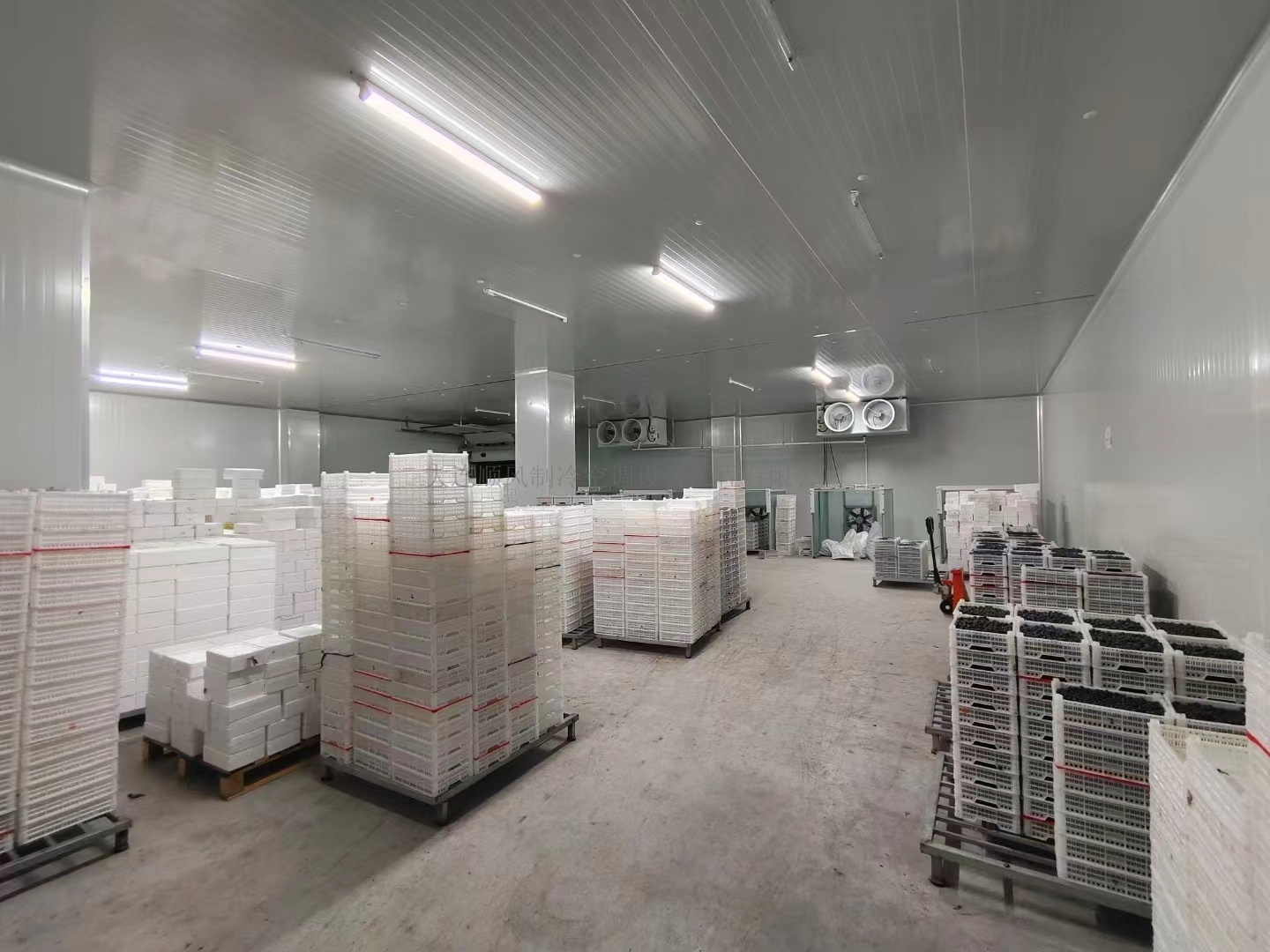 吉林通化禾韻藍莓生産基地(dì)