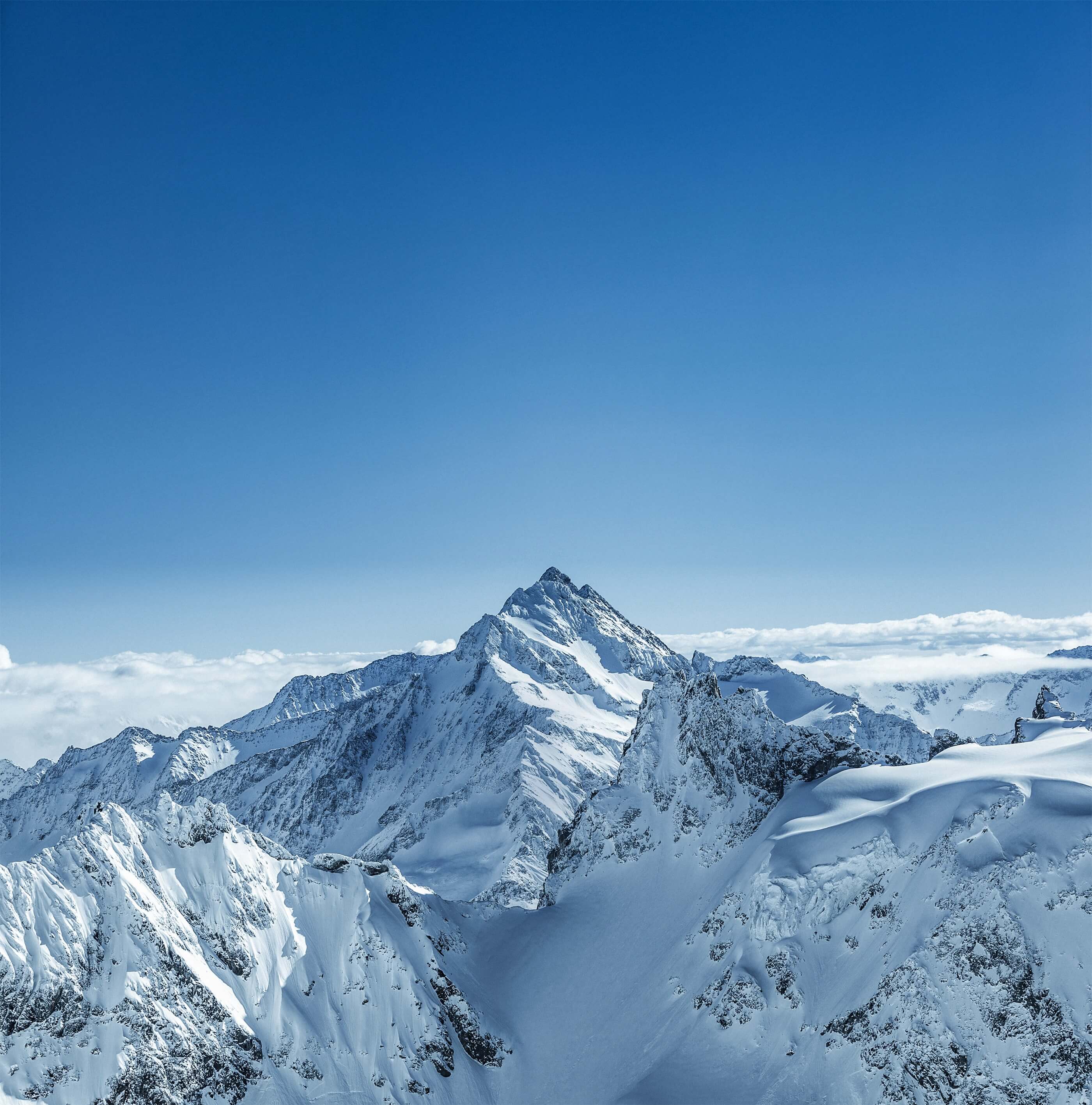 冷(lěng)庫專家 譽行(xíng)天下