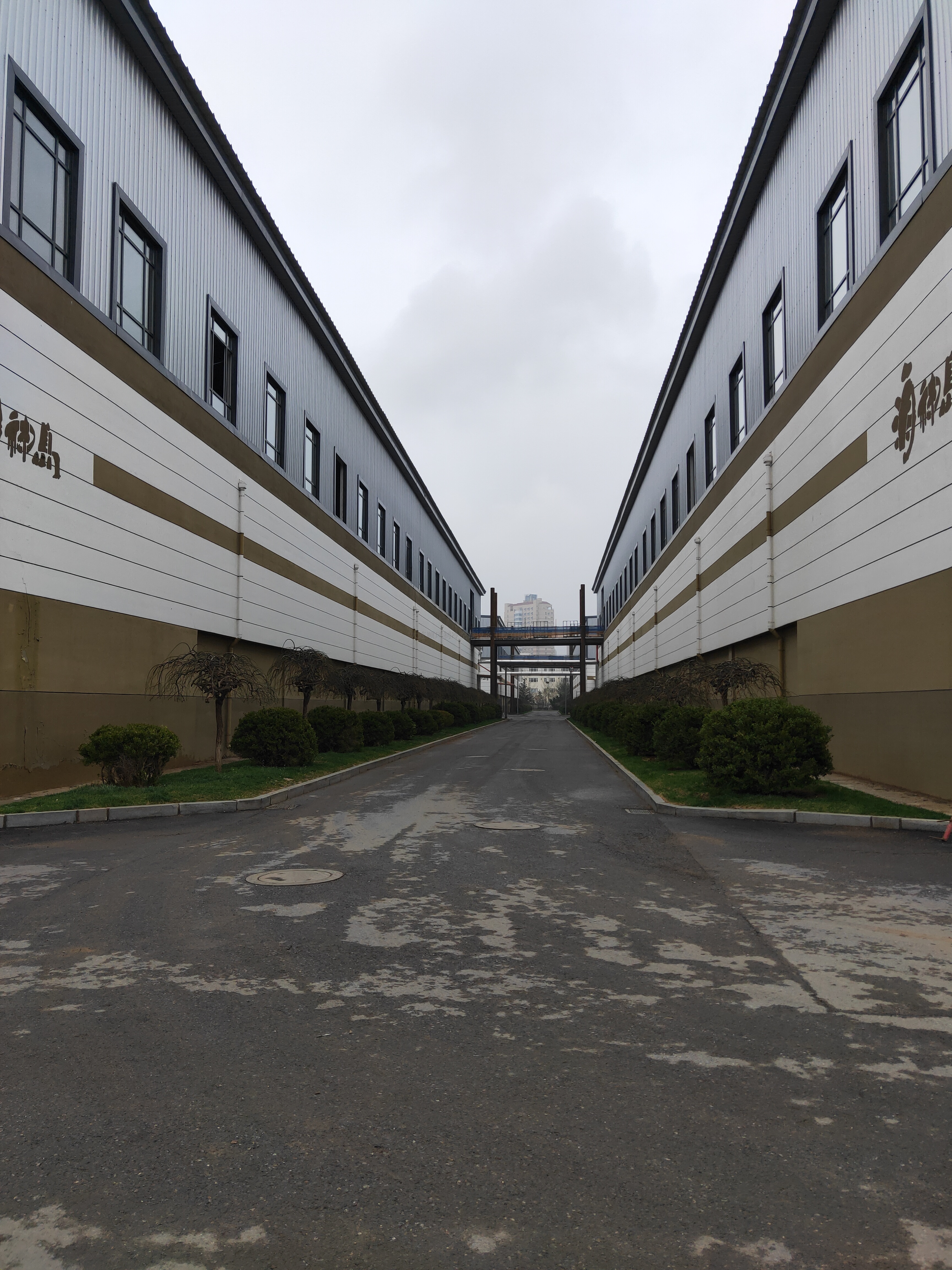 大(dà)連海(hǎi)神島冷(lěng)鏈物(wù)流工(gōng)程