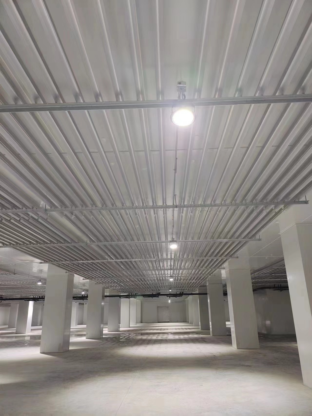 大(dà)連東方置業(yè)集團金(jīn)三角市場(chǎng)冷(lěng)庫