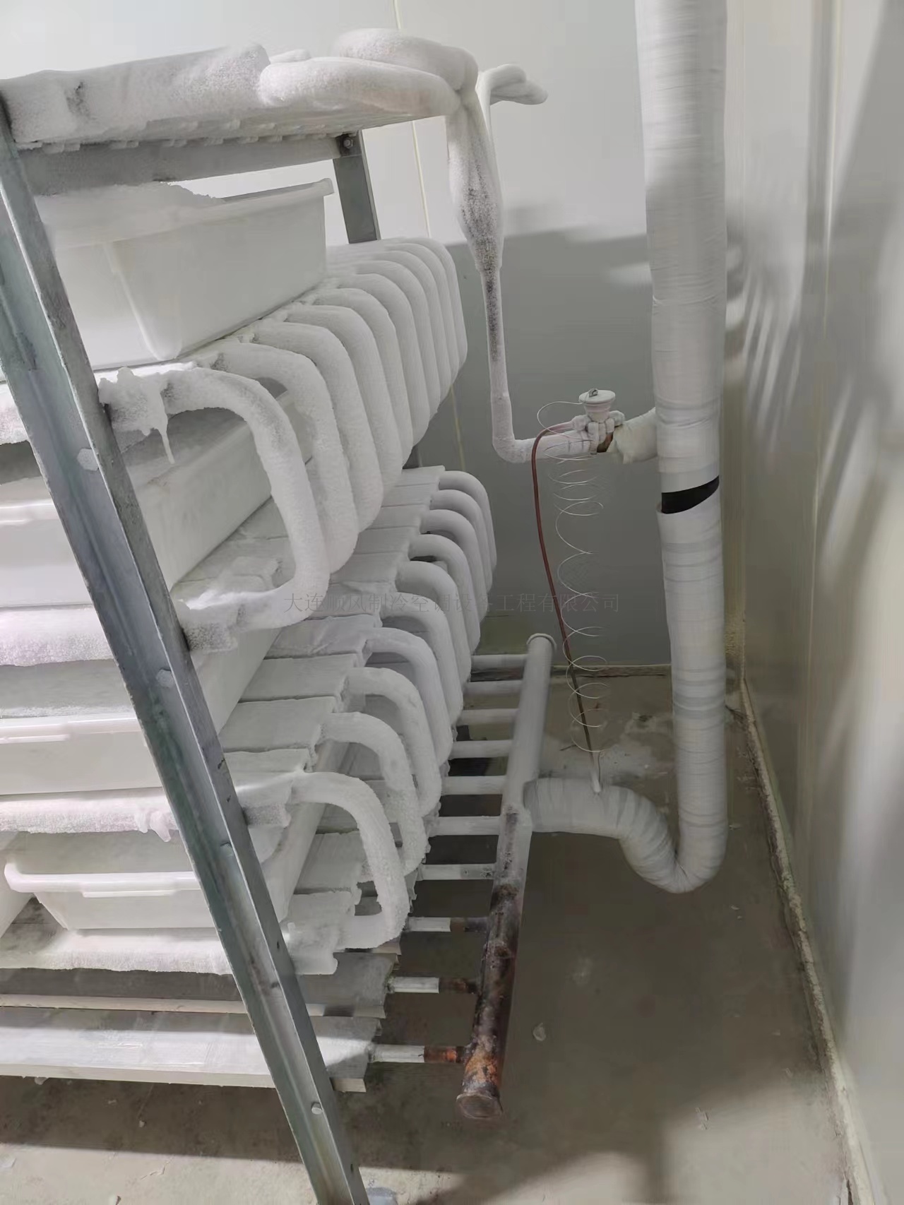 大(dà)連東方置業(yè)集團金(jīn)三角市場(chǎng)冷(lěng)庫